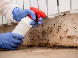 Best Residential Mold Inspection & Testing  in Leonardtown, MD